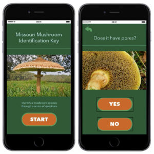 Mushroom identification app.